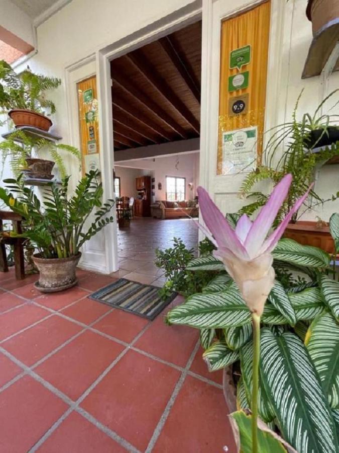 Villa Caribbean Dream - certified Vieux Fort Exterior foto