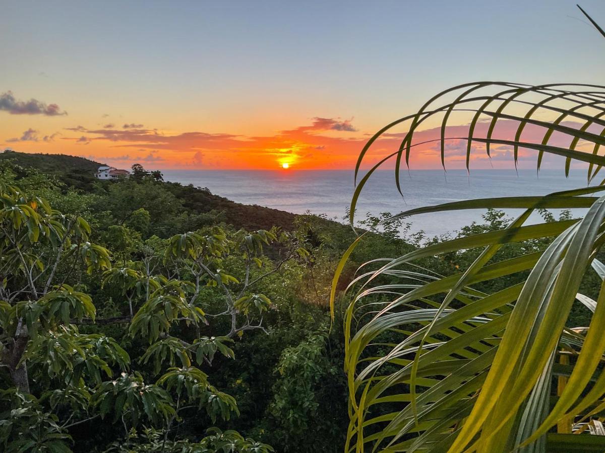 Villa Caribbean Dream - certified Vieux Fort Exterior foto