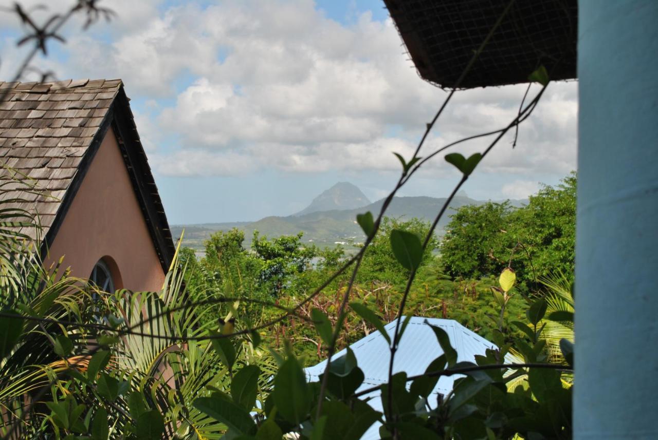 Villa Caribbean Dream - certified Vieux Fort Exterior foto
